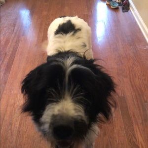 Meet your Posher, Cindy